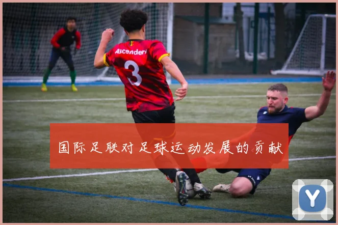 国际足联对足球运动发展的贡献