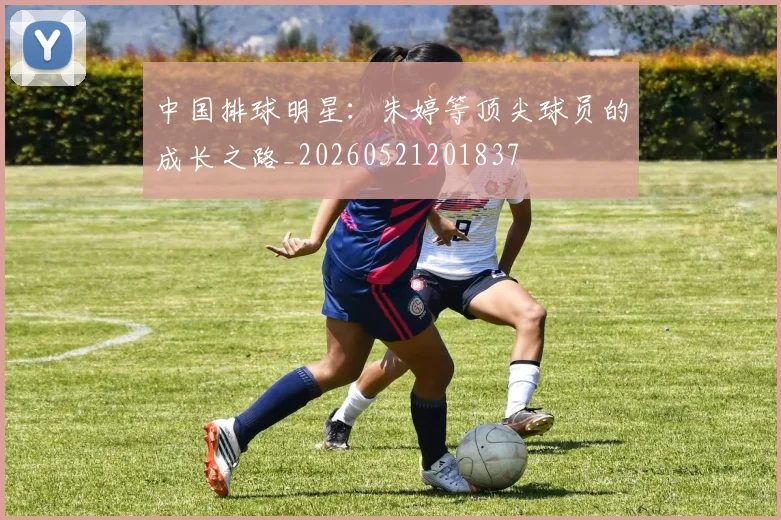 中国排球明星:朱婷等顶尖球员的成长之路_20260521201837